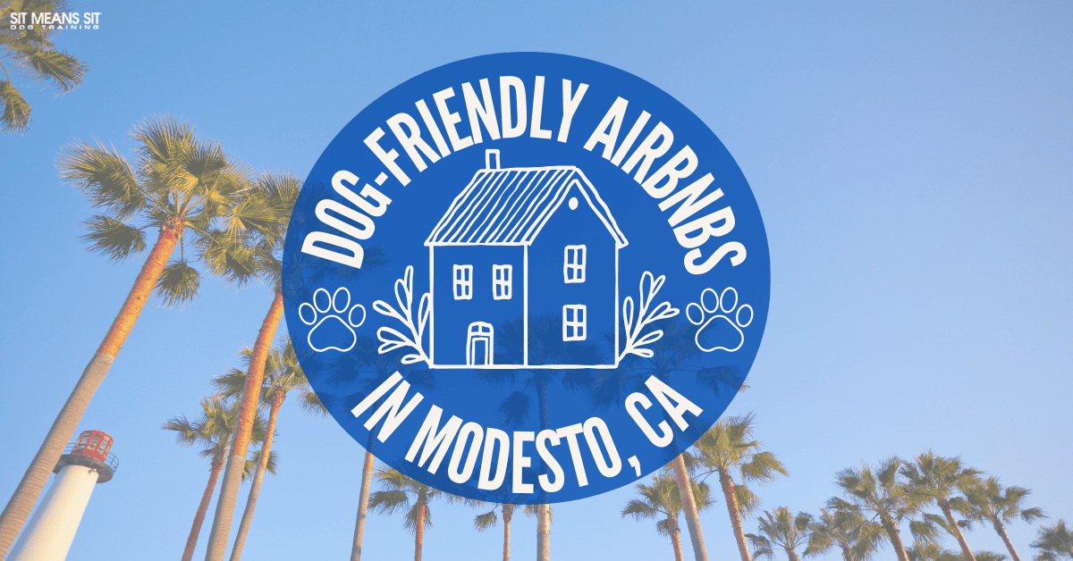 Dog-Friendly Airbnbs in Modesto
