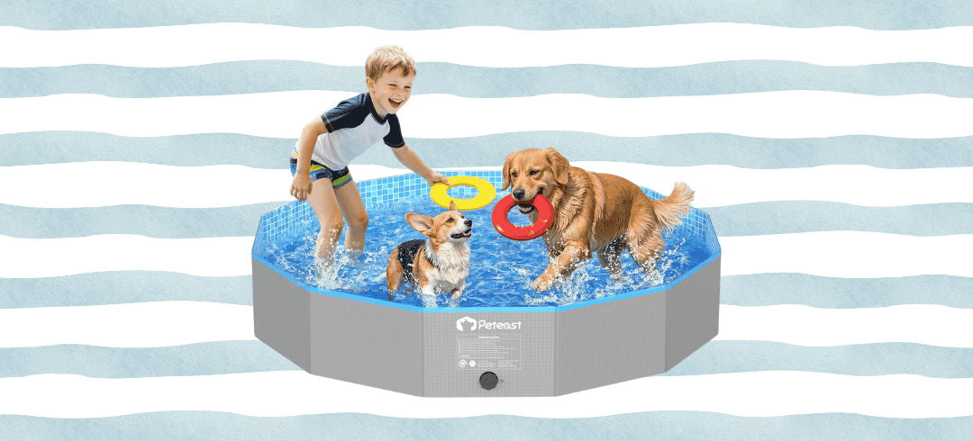 The Best Dog Water Toys for Pool, Beach, or Backyard Fun