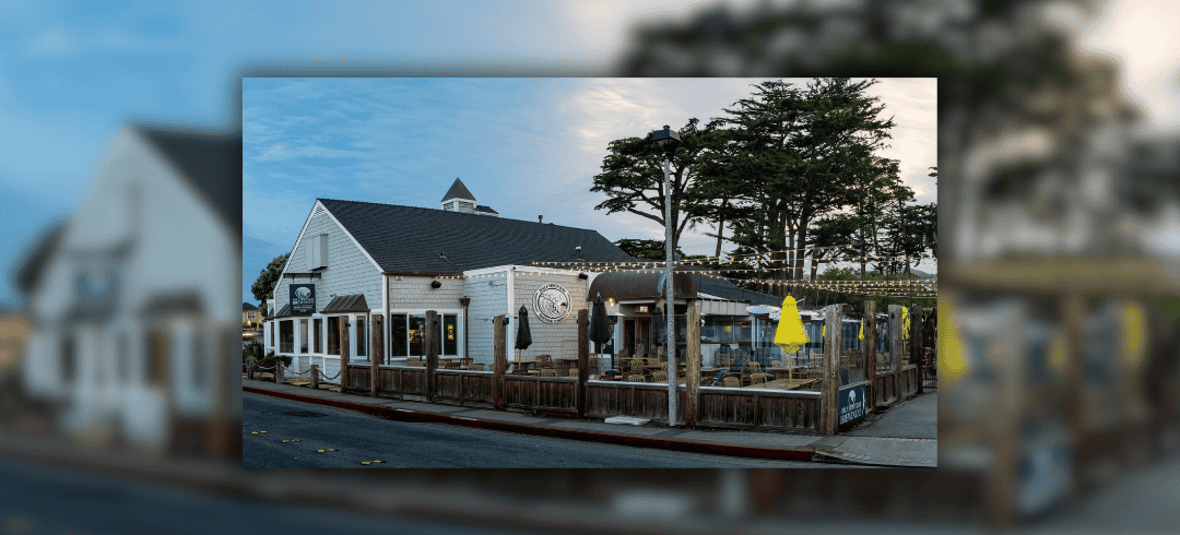 Paws & Pints: Dog-Friendly Breweries to Visit in the U.S.