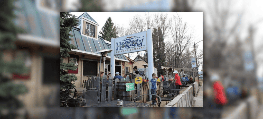 Paws & Pints: Dog-Friendly Breweries to Visit in the U.S.