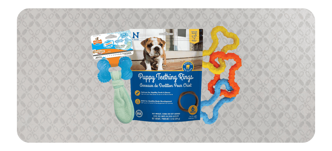 How to Soothe Puppy Teething Pain