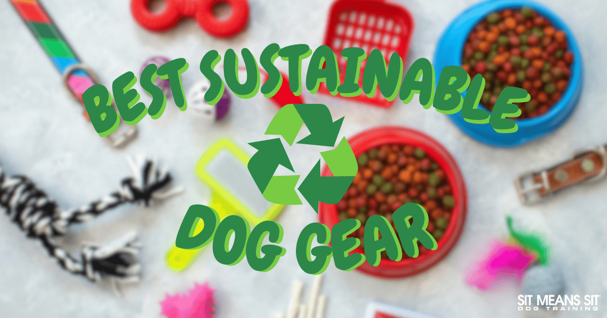 Sustainable Pet Gear You Can Feel Good About